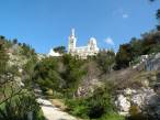  la basilique dans la verdure